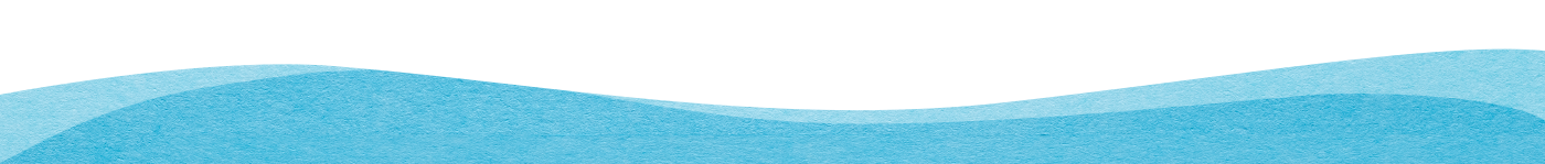 Majestic Fast Ferry Pte Ltd.